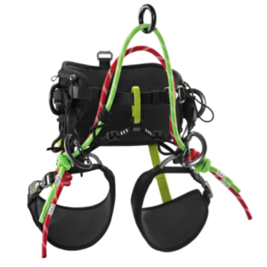 Edelrid TreeRex II Harness
